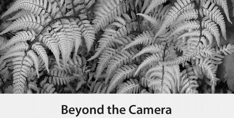 Copy of Beyond the Camera