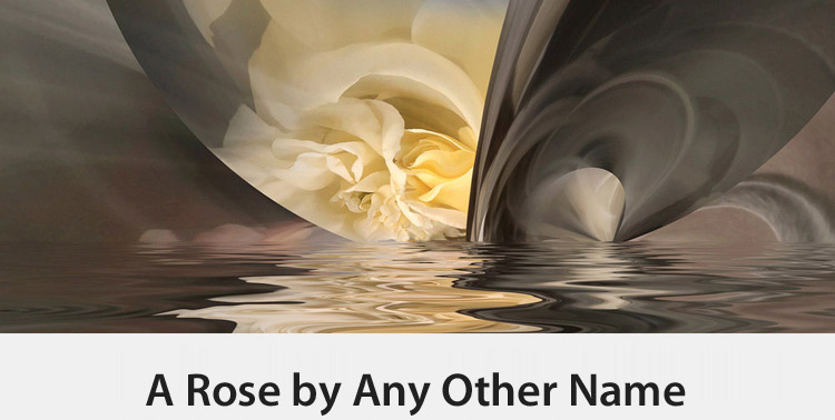 Copy of A Rose by Any Other Name