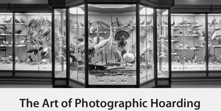 Copy of The Art of Photographic Hoarding