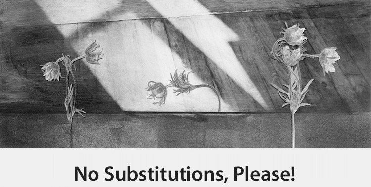 Copy of No Substitutions, Please!