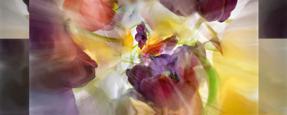 Tulips #59, 2008