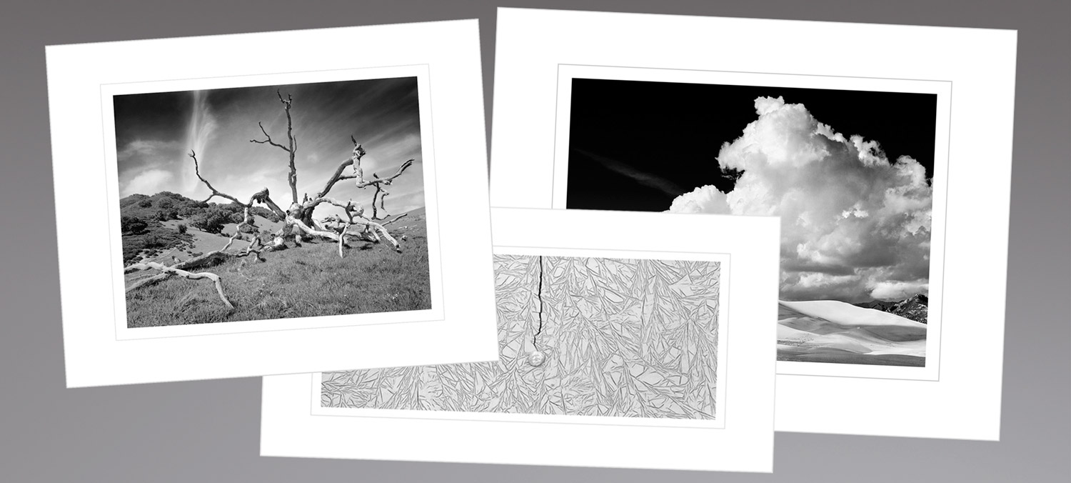 silver-prints-display.jpg