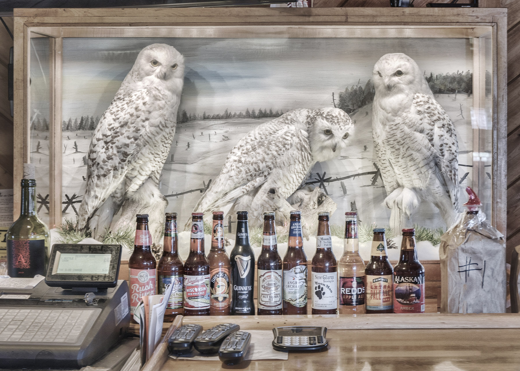 Bar Owls, Hayward, WI, 2016 (c)