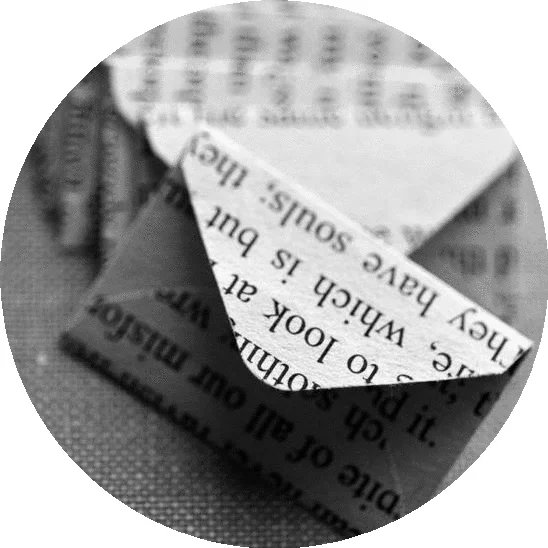 imageedit_12_8424132231.jpg