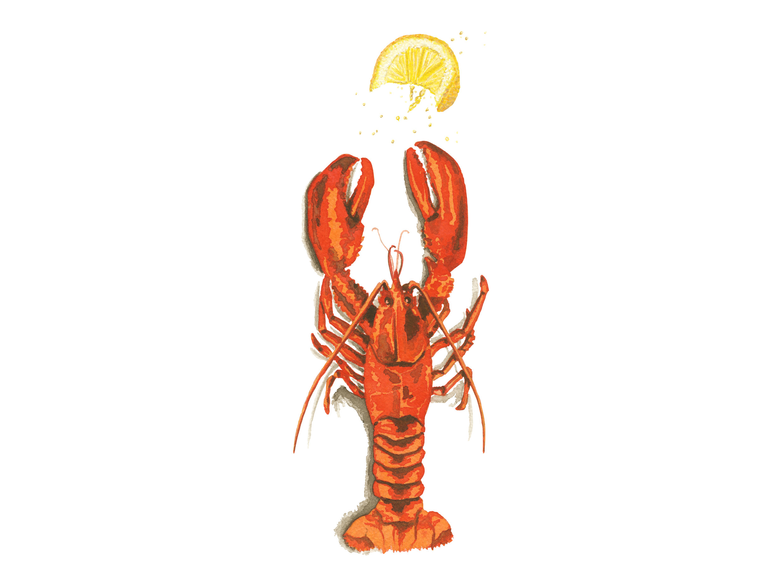 Lobster + Lemon Slice