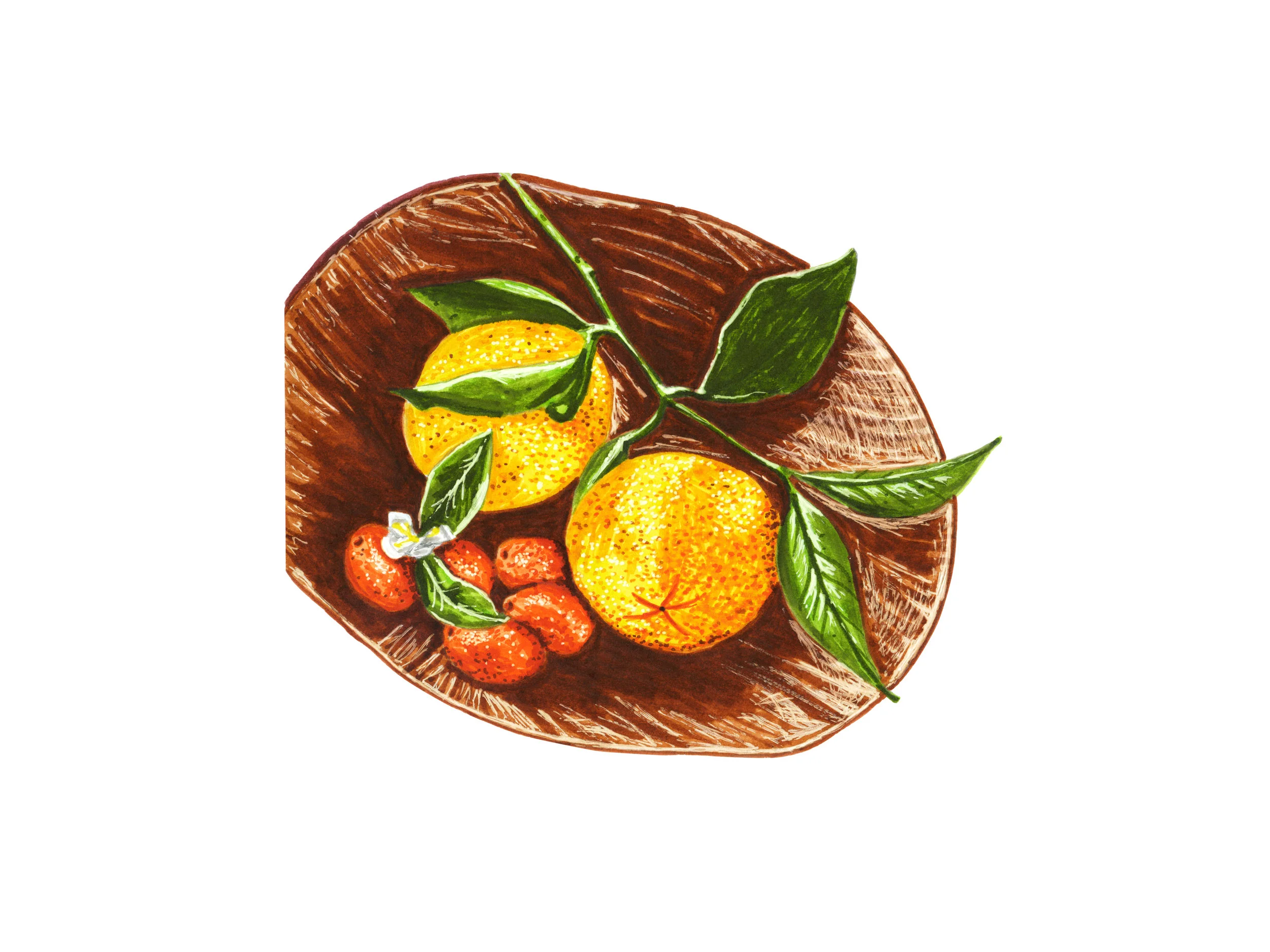 Oranges + Kumquats