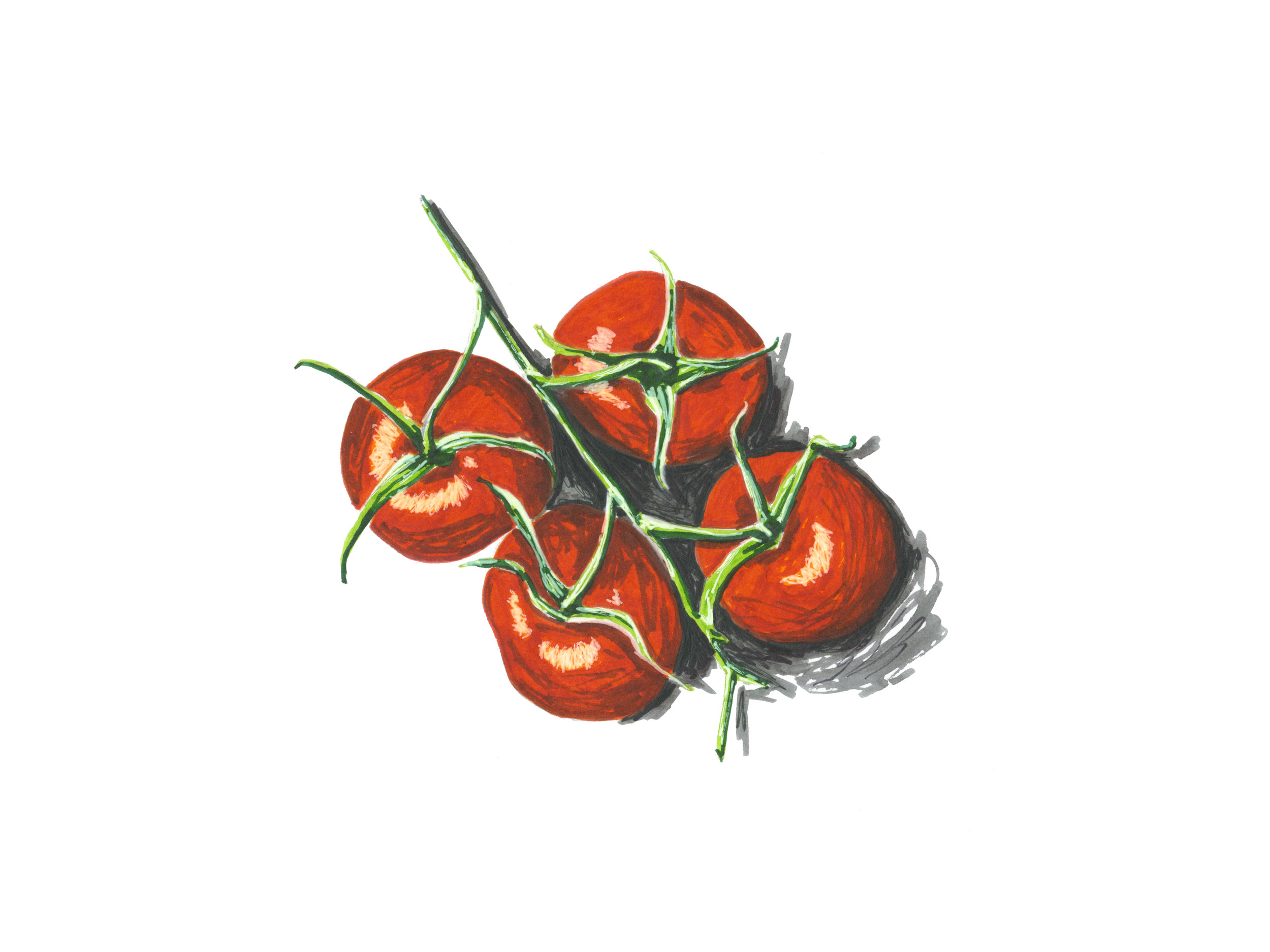 tomatoes-on-the-vine_website.jpg