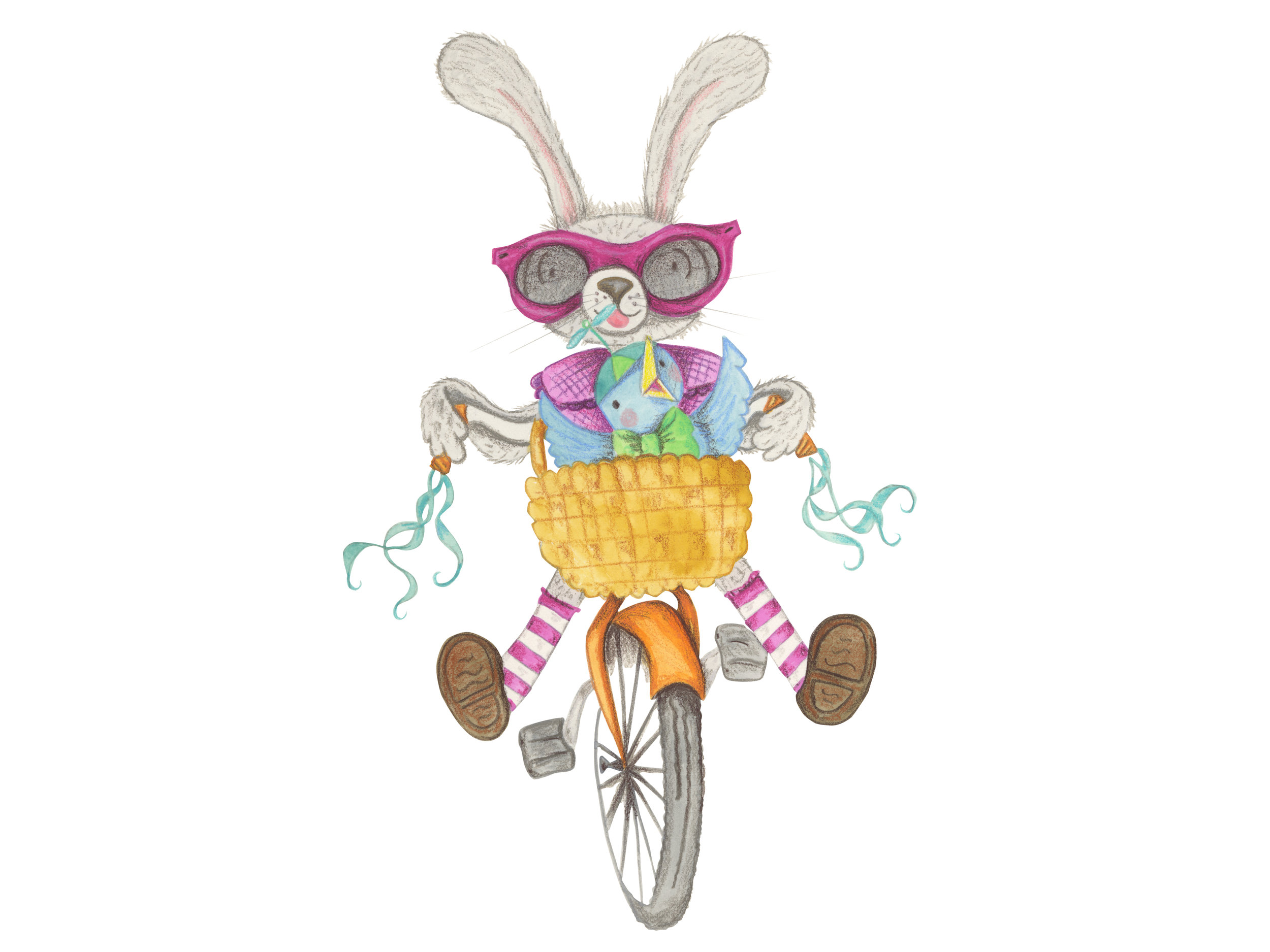 Bicycle Bunny