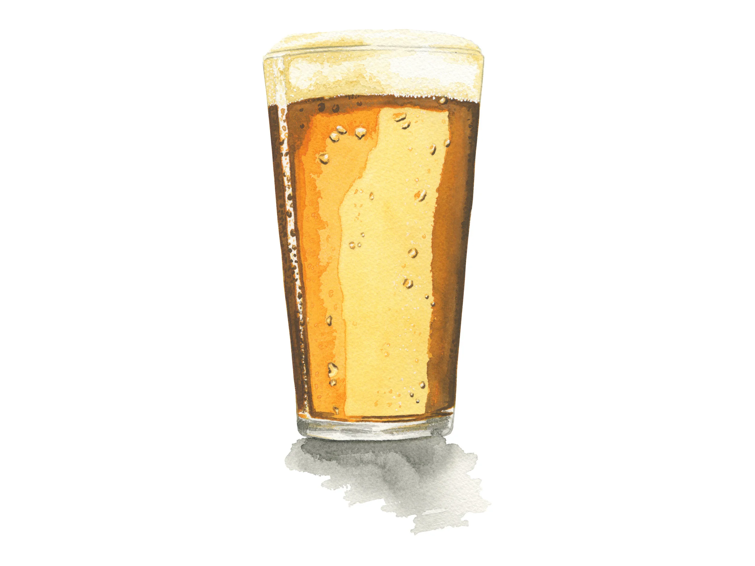 Beer Pint | The Melting Pot
