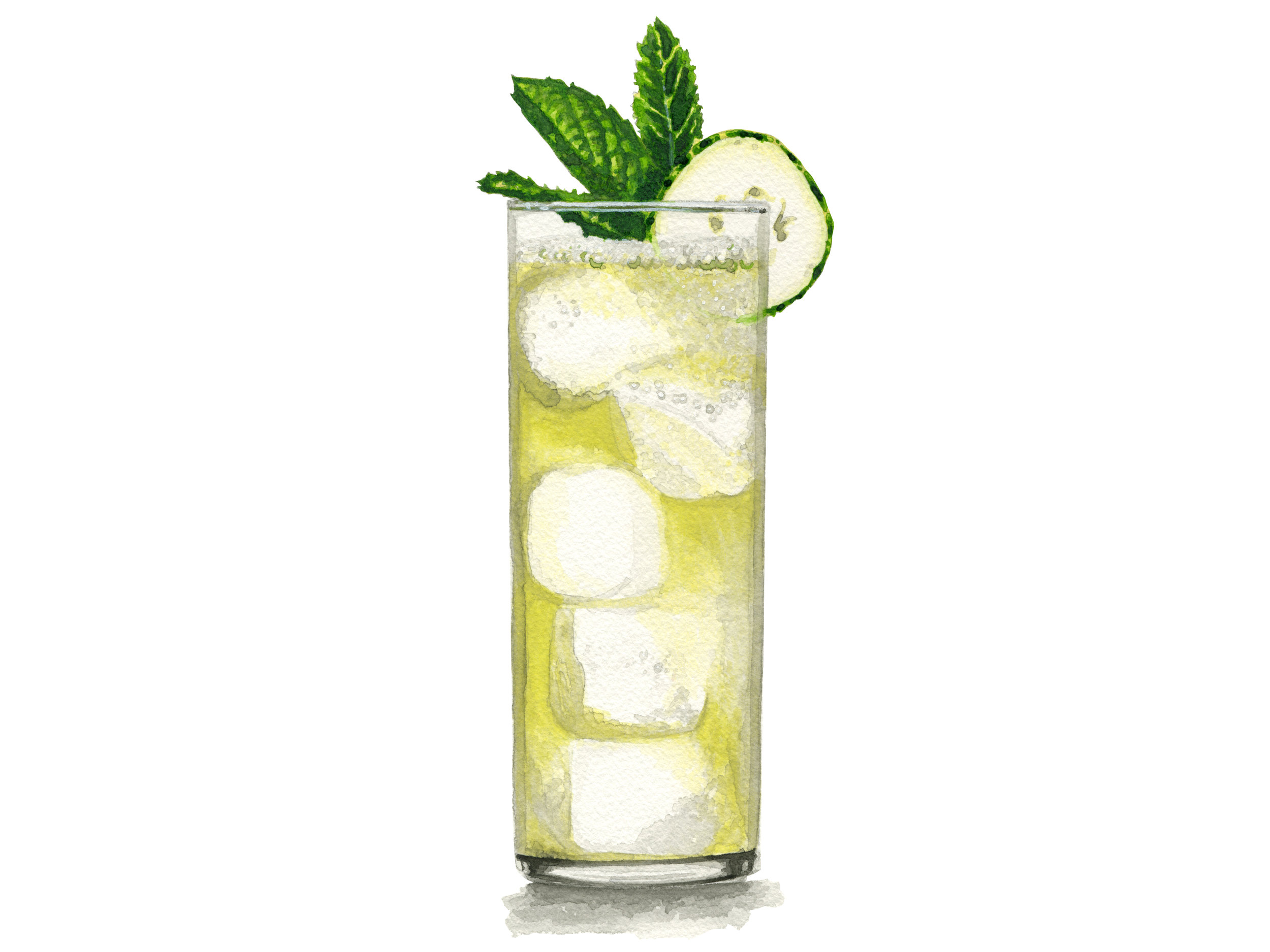 Cucumber Melon | Bibo Barmaid, LLC