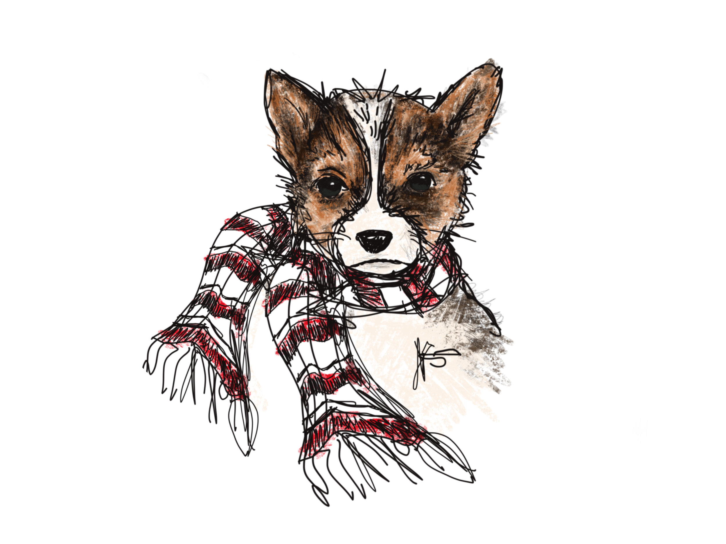 Cute Dog with Scarf