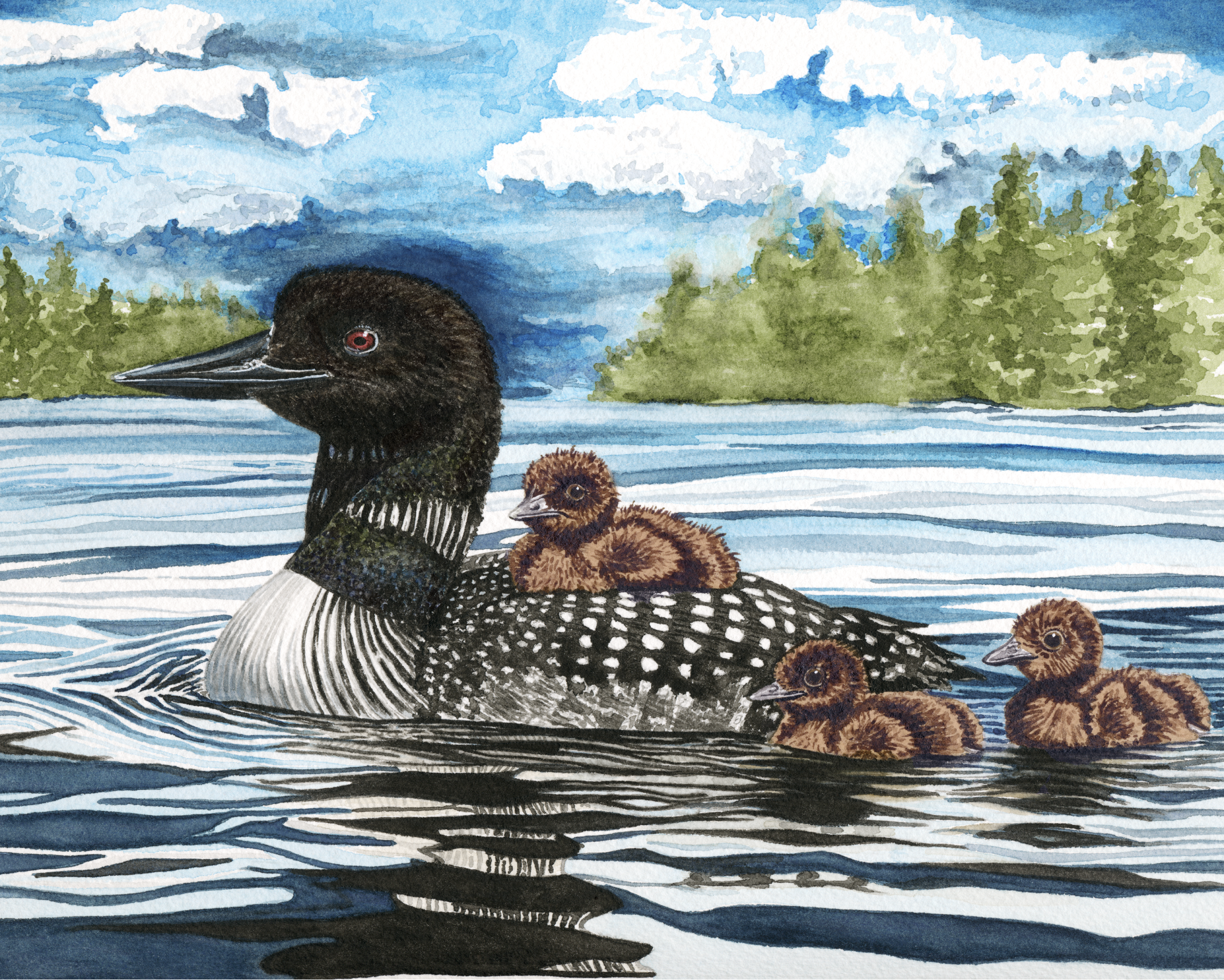 Loon Lagoon
