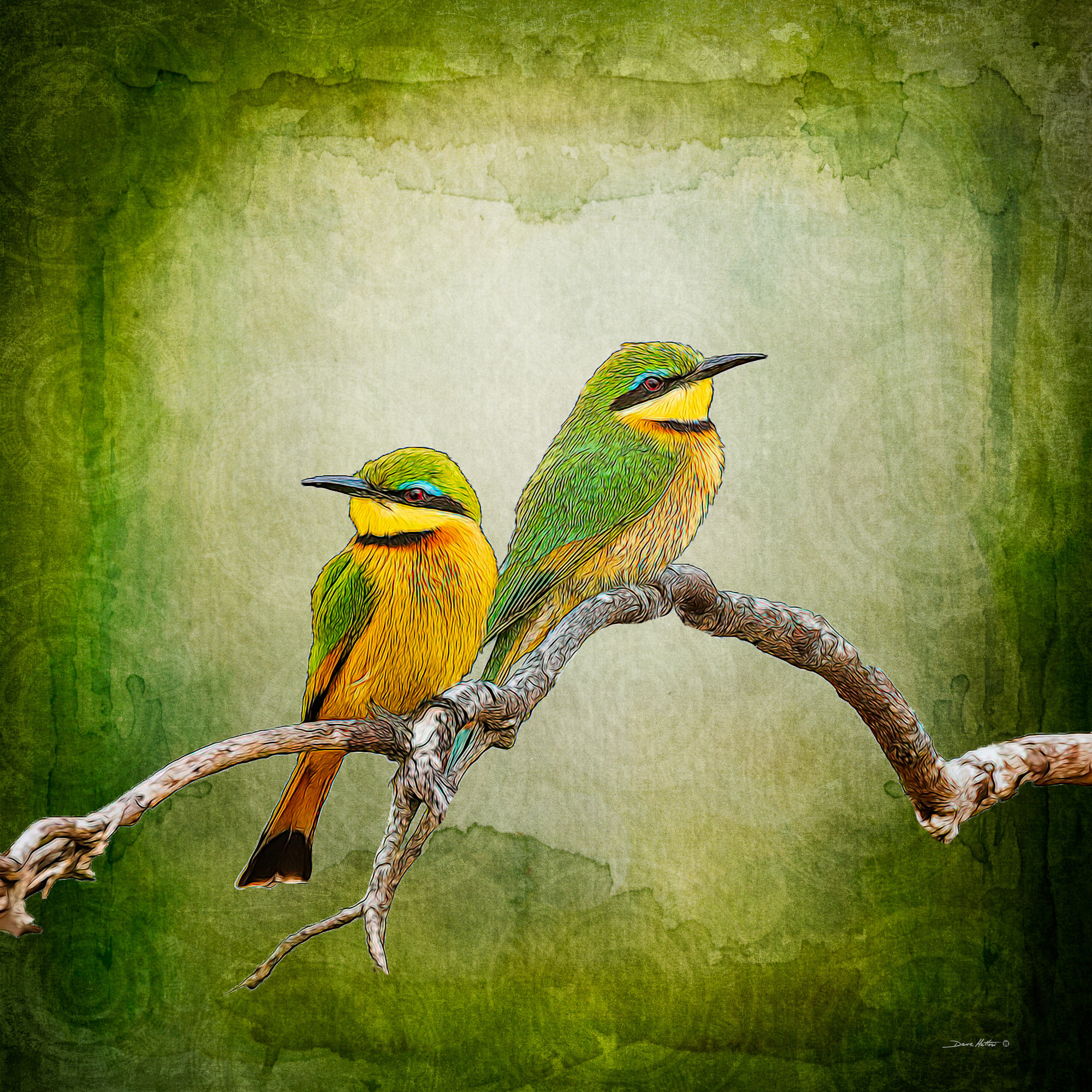 "Bee-Eaters"