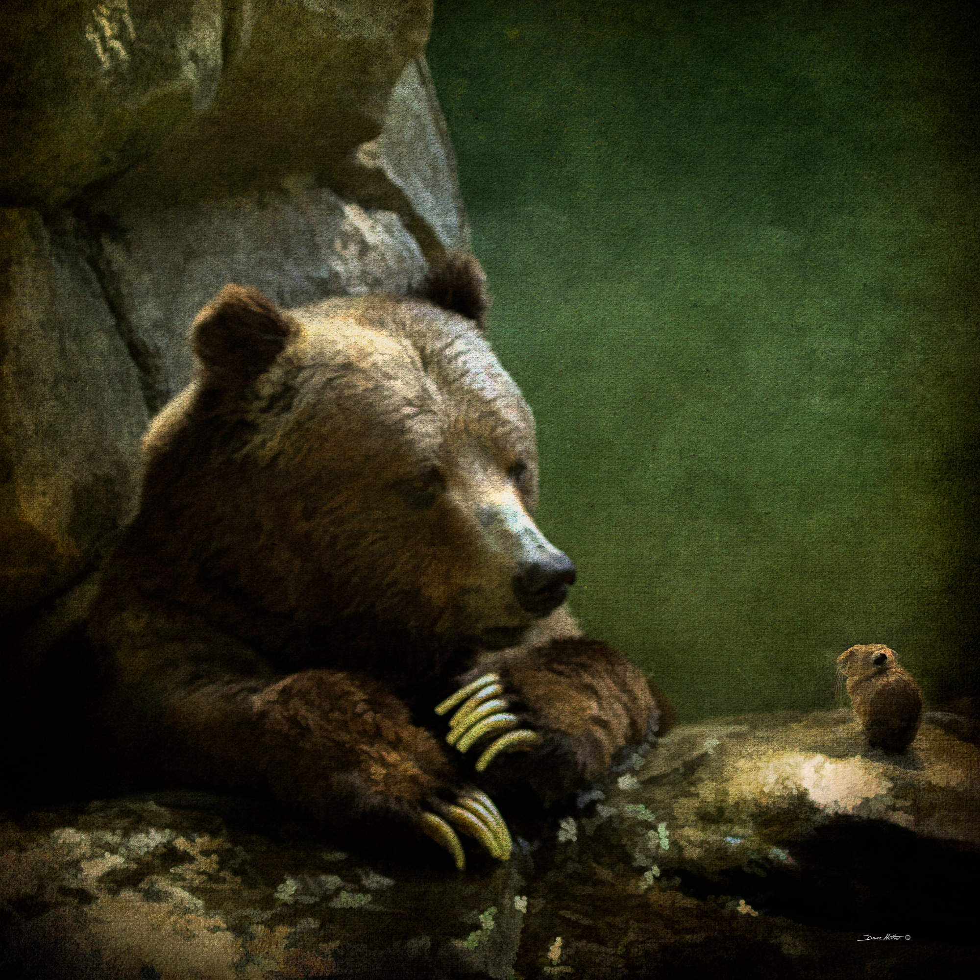 "Grizzly &amp; Pika"