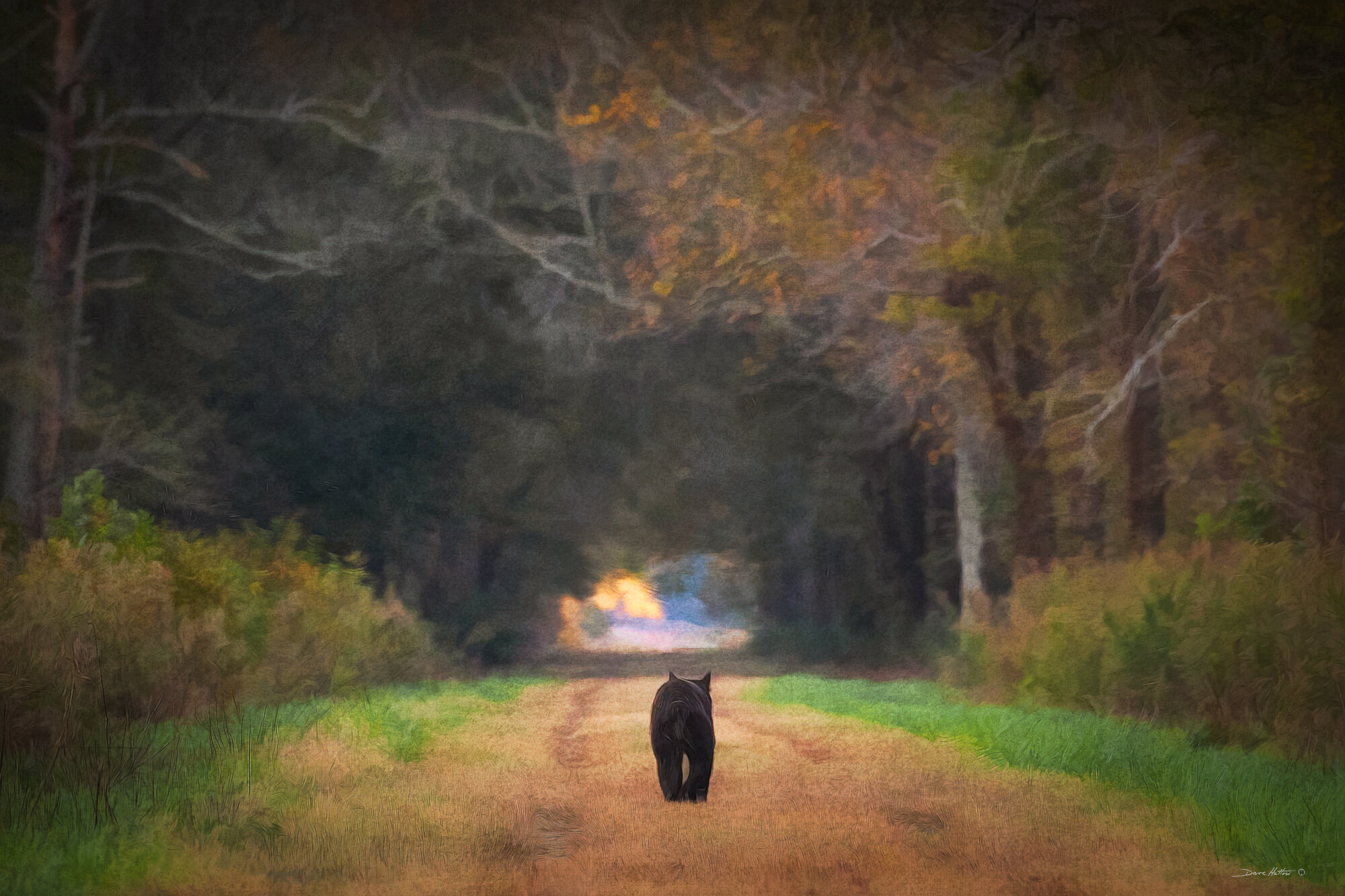 "Heading Toward the Tunnel"