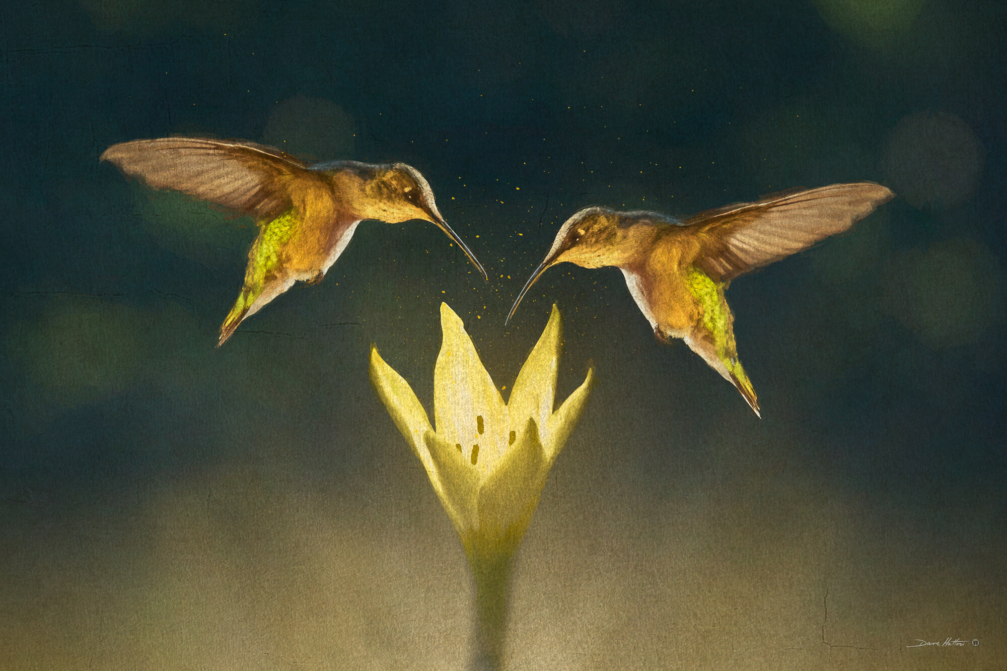 "Hummingbirds Aglow"