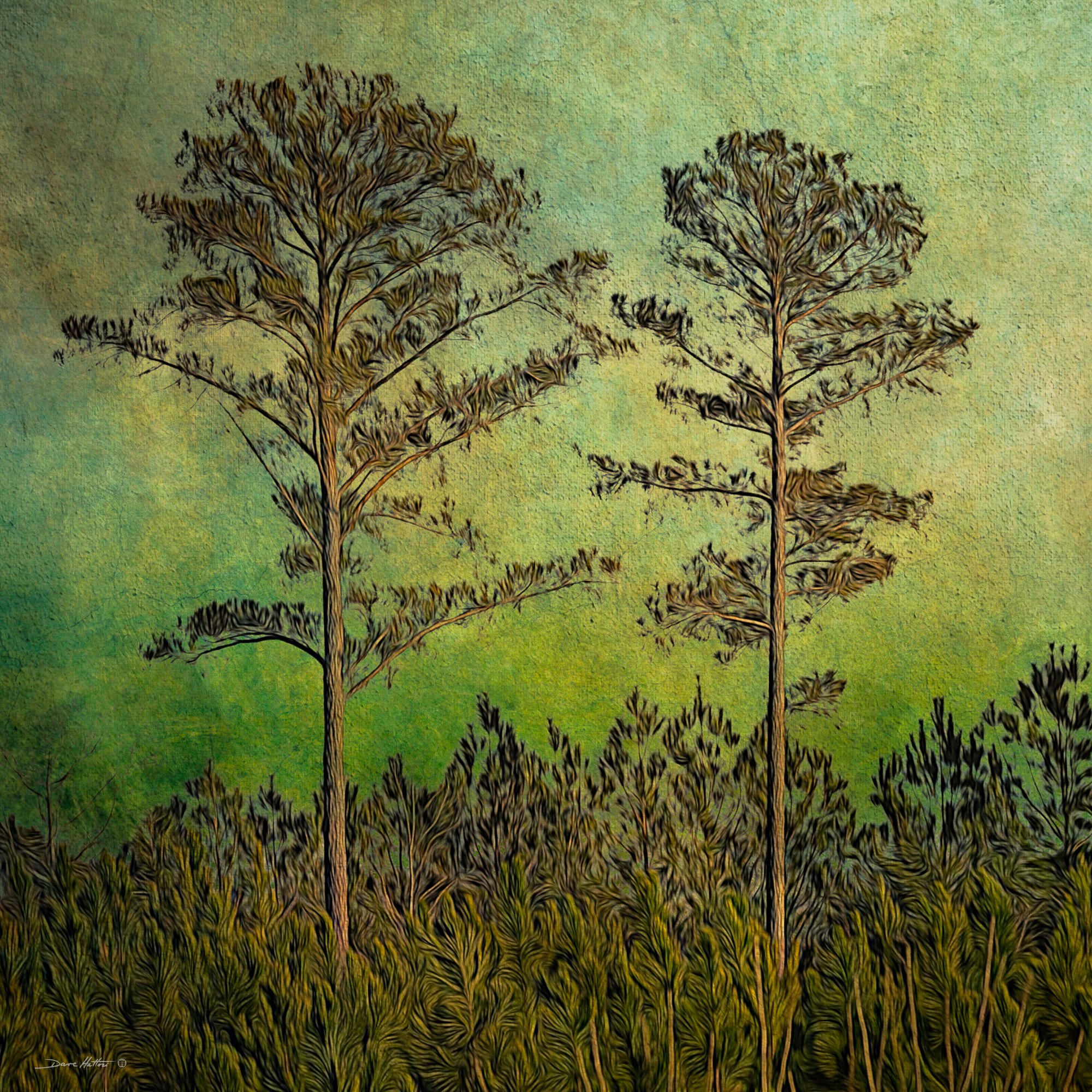 "Two Pines"