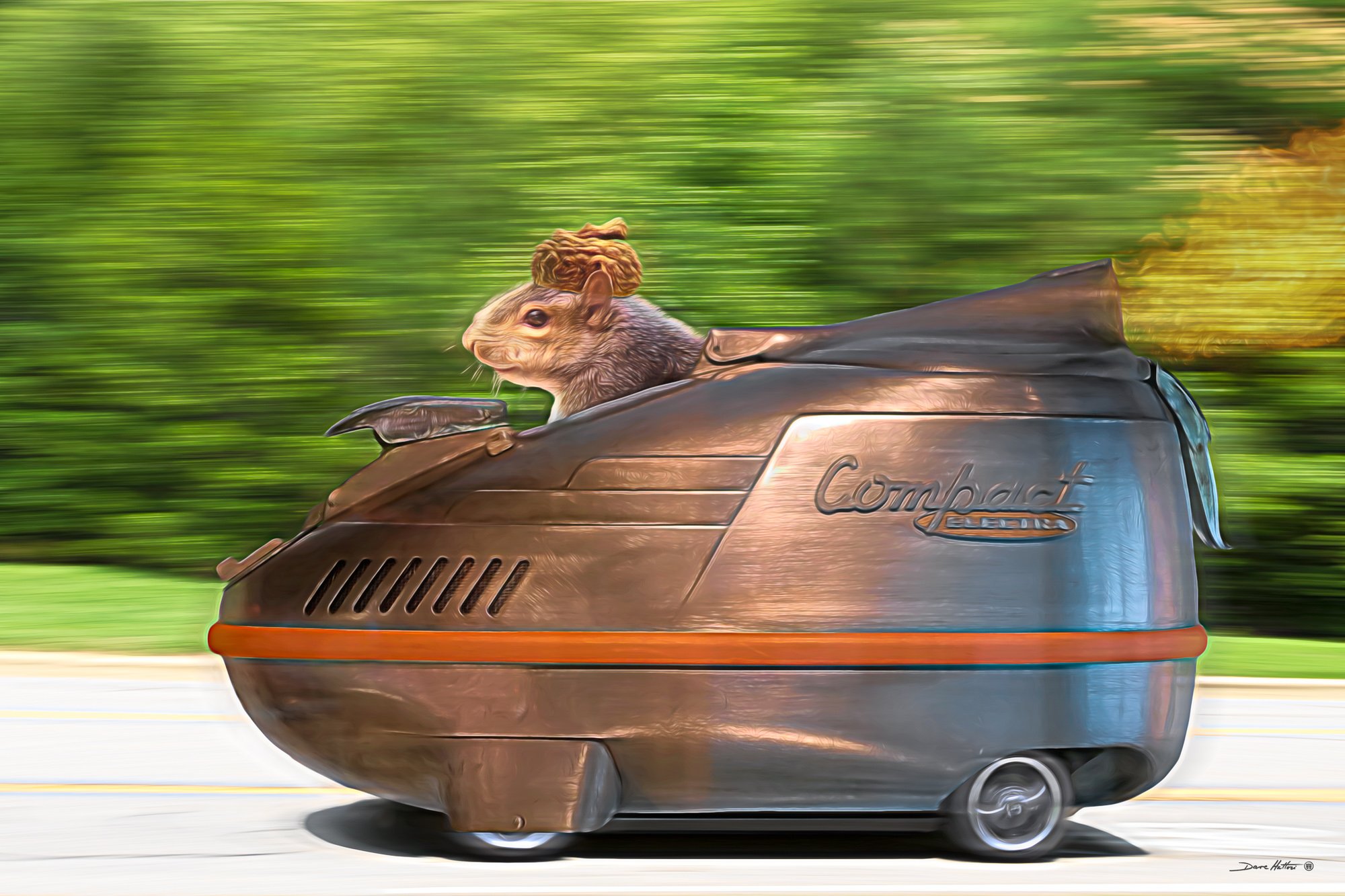 "Go Squirrel Racer Go!"