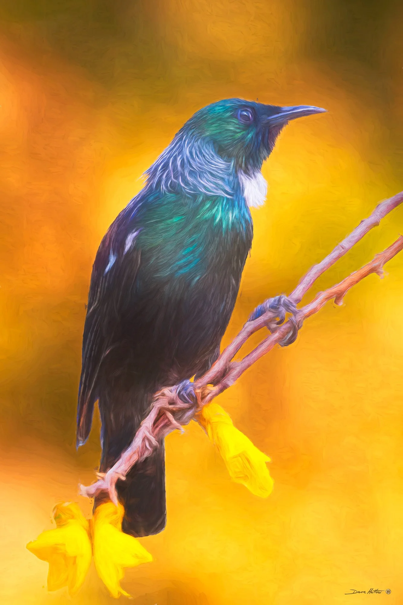 "Tui 2"