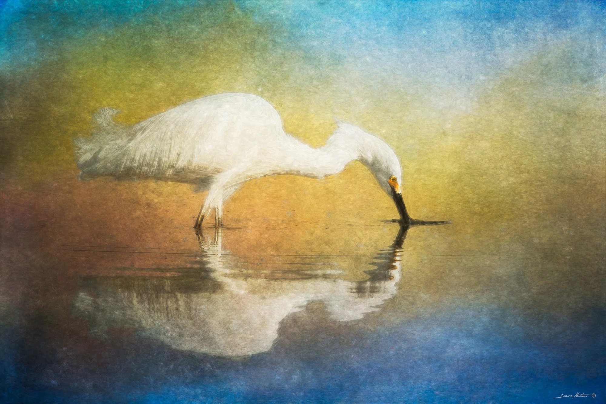 "Reflection"