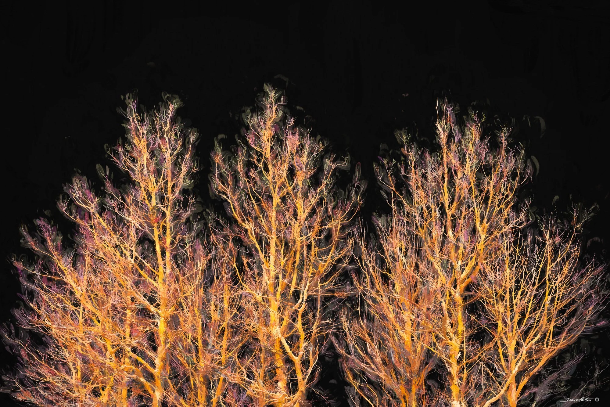"Winter Glow"