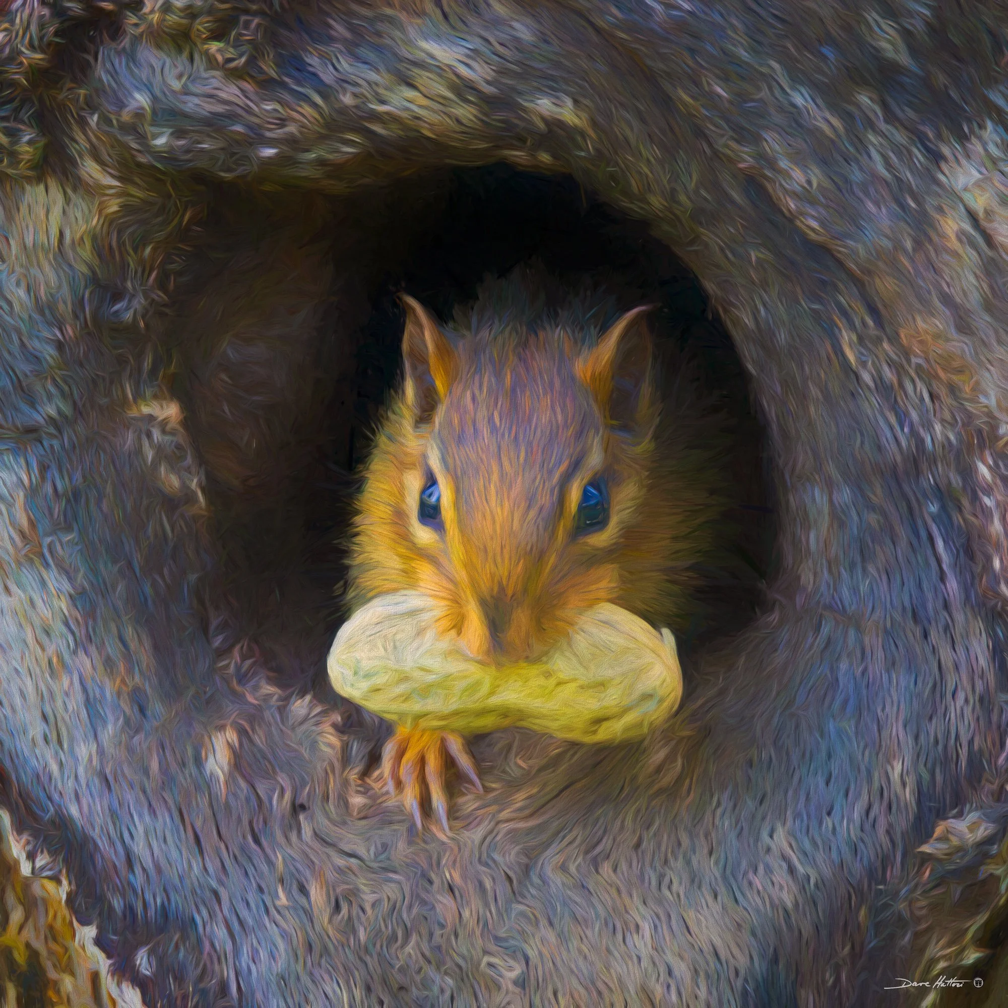 "Peanut Poacher"