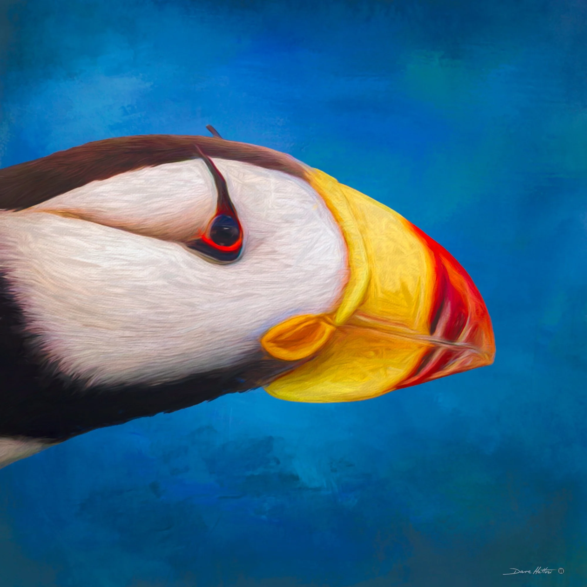"Horned Puffin"