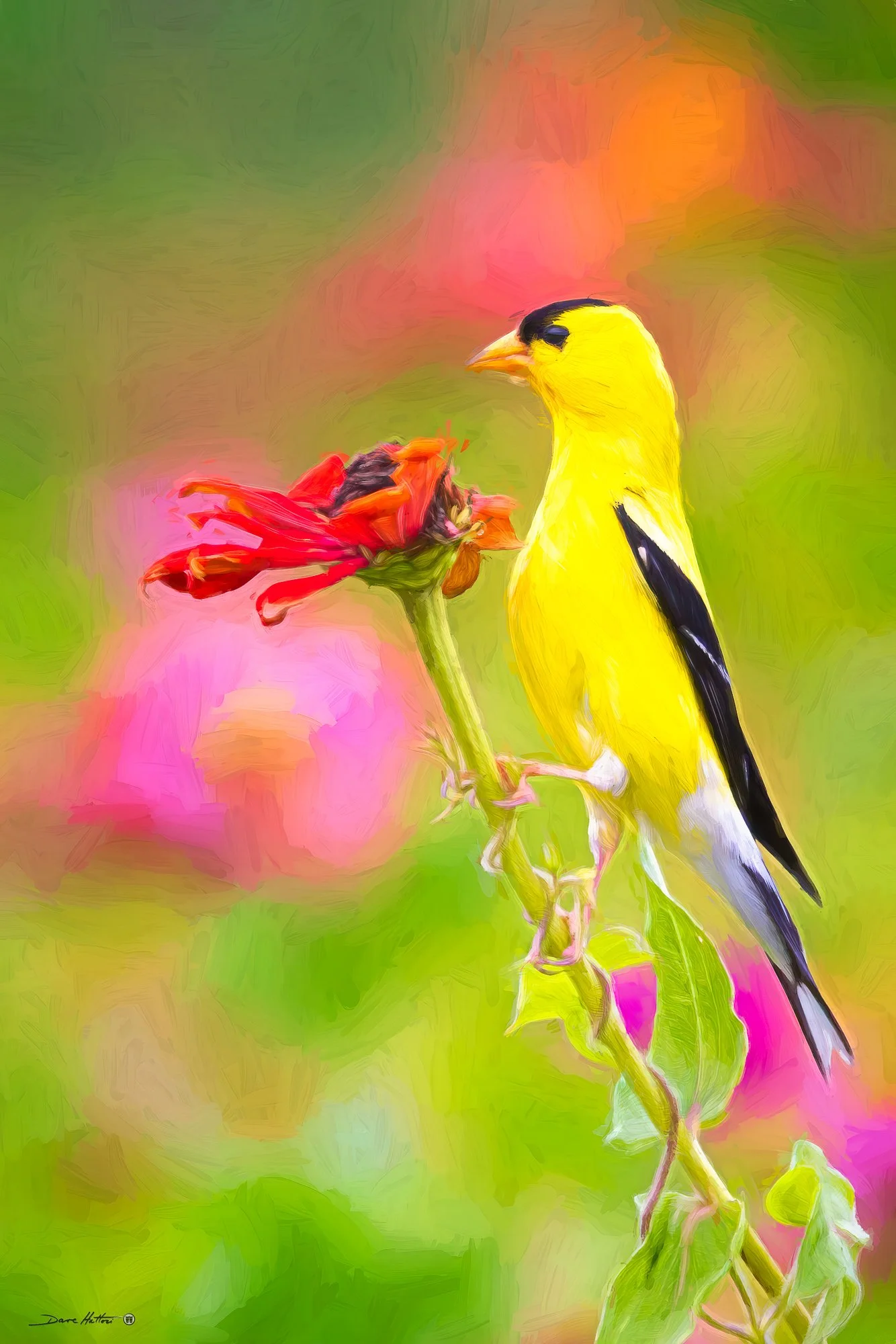 "Goldfinch Snack"