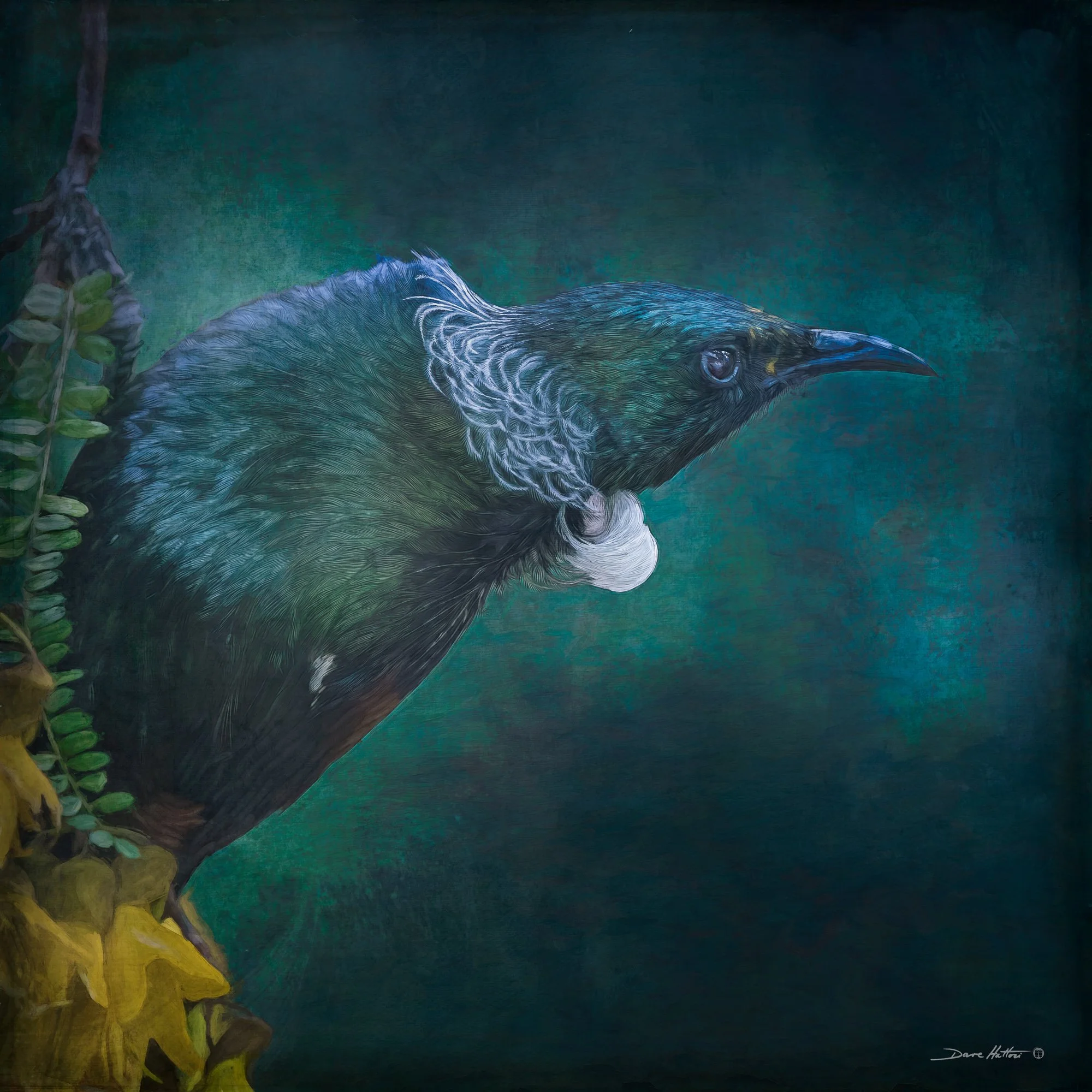 "Tui"