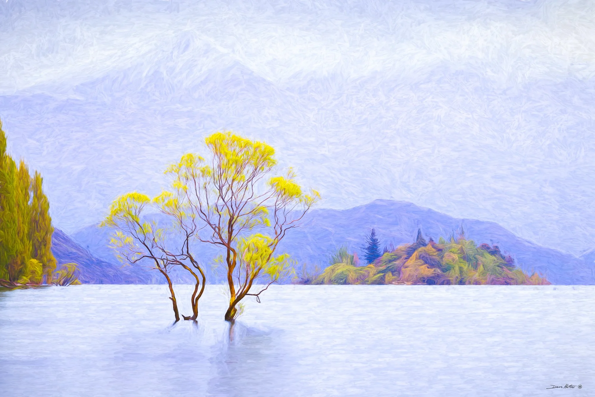 "That Wanaka Tree"