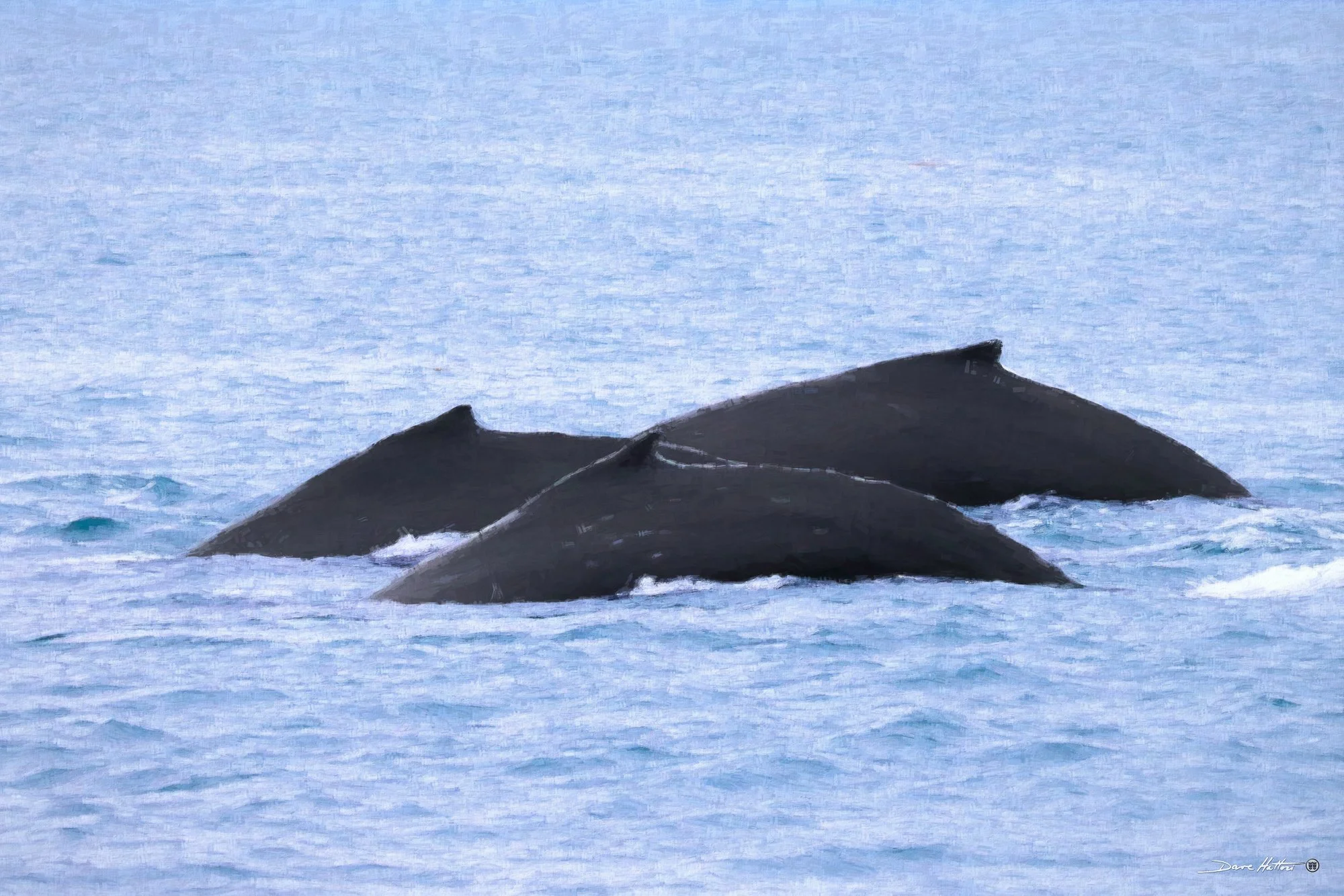 "Humpback Trio"