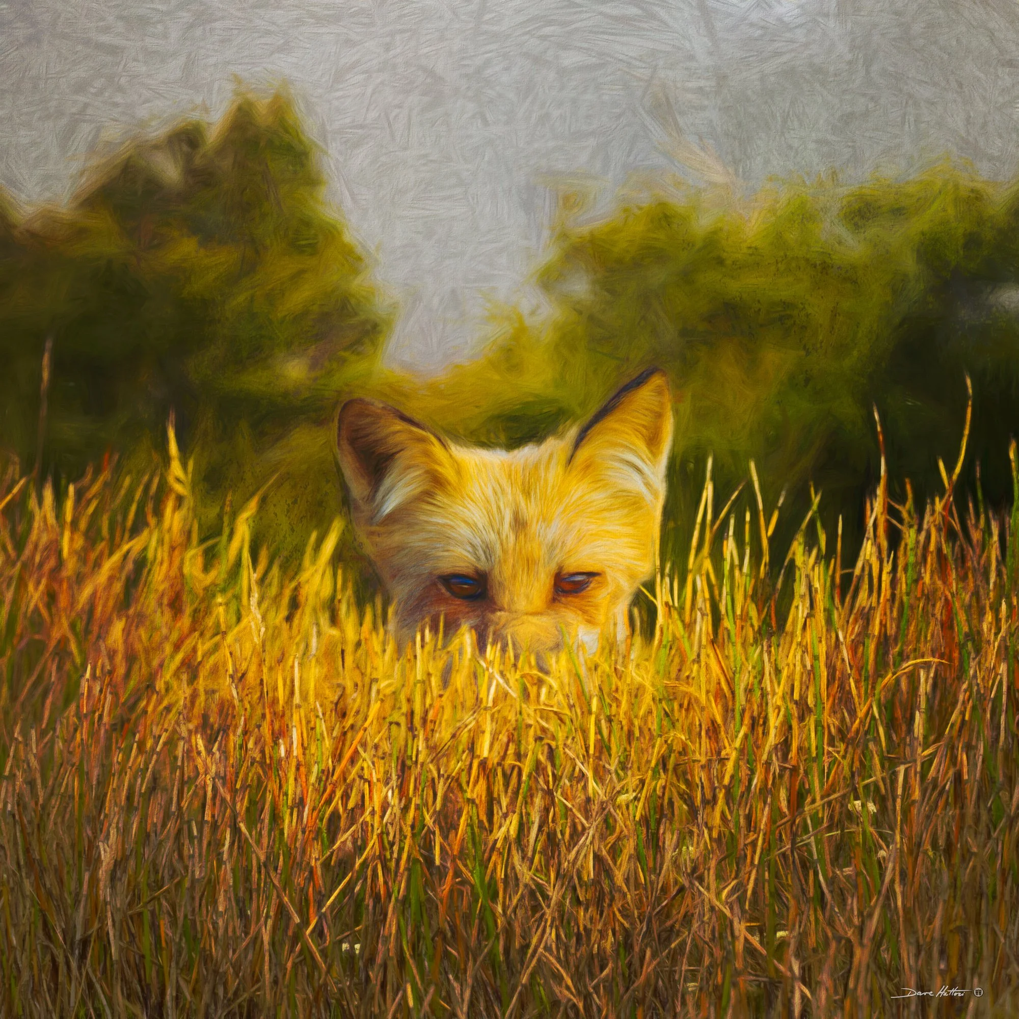 "Watching"