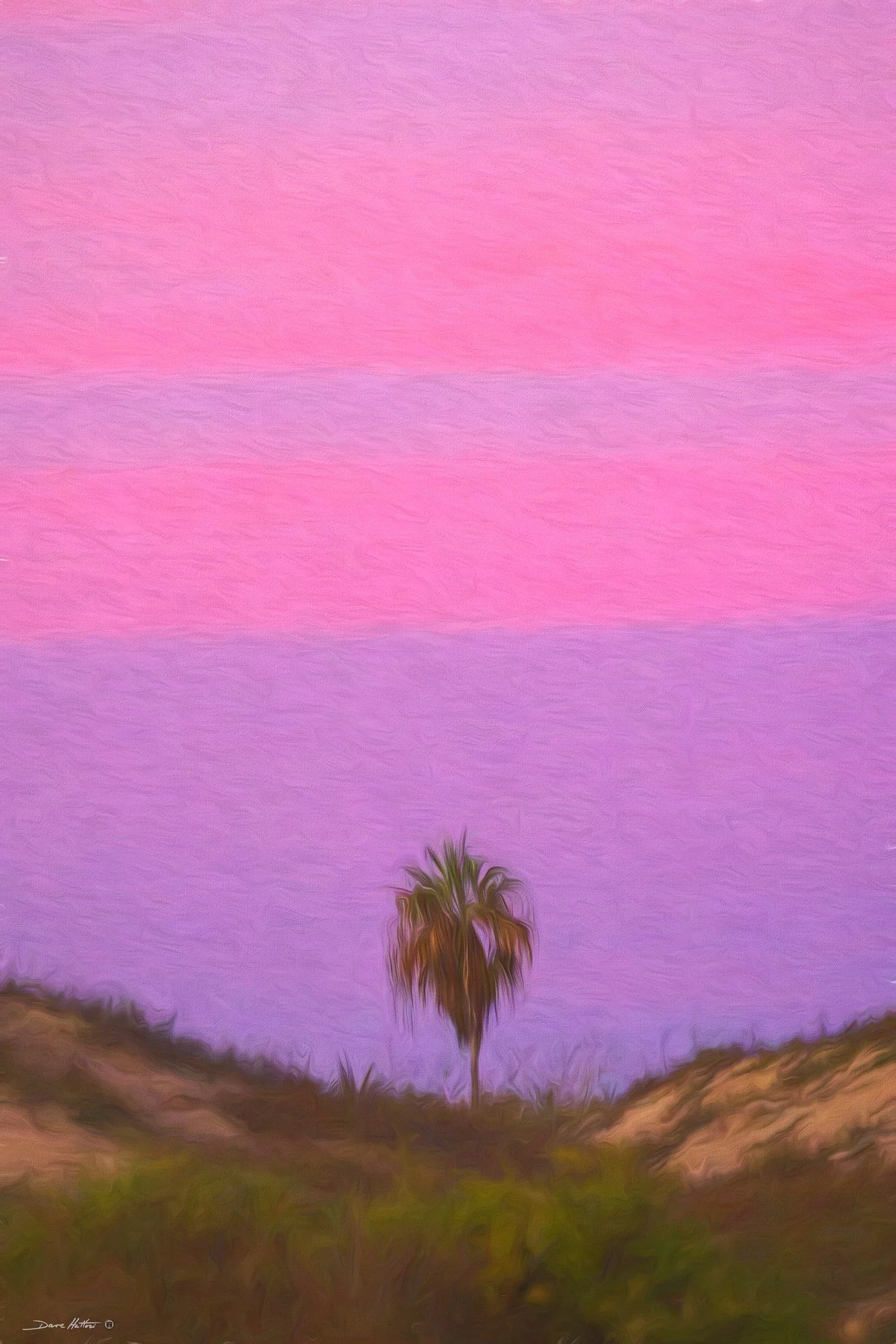 "Todos Santos Sunset"