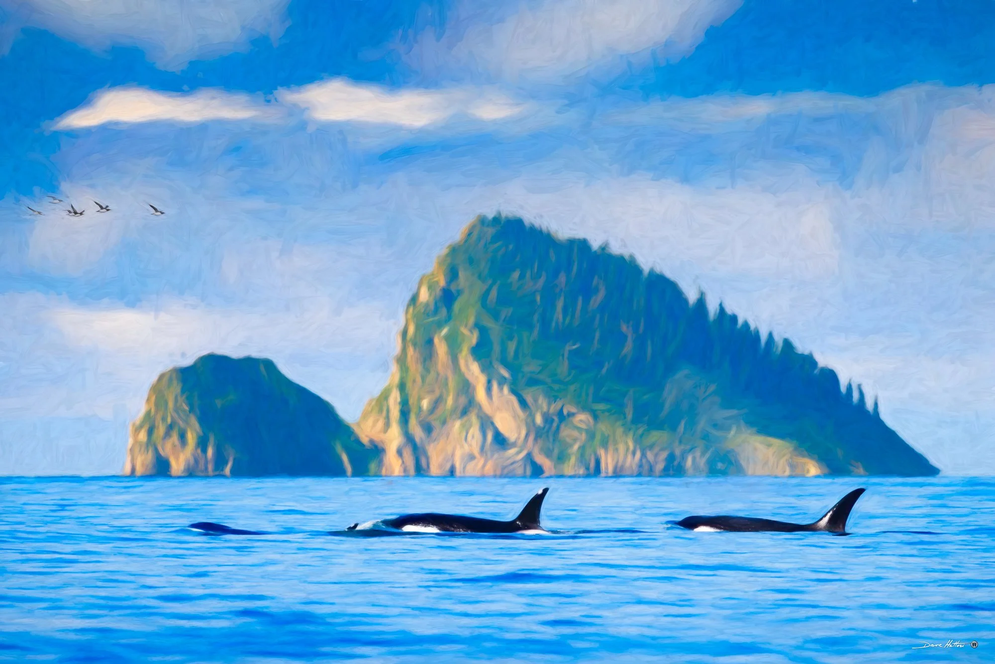 "Orcas"