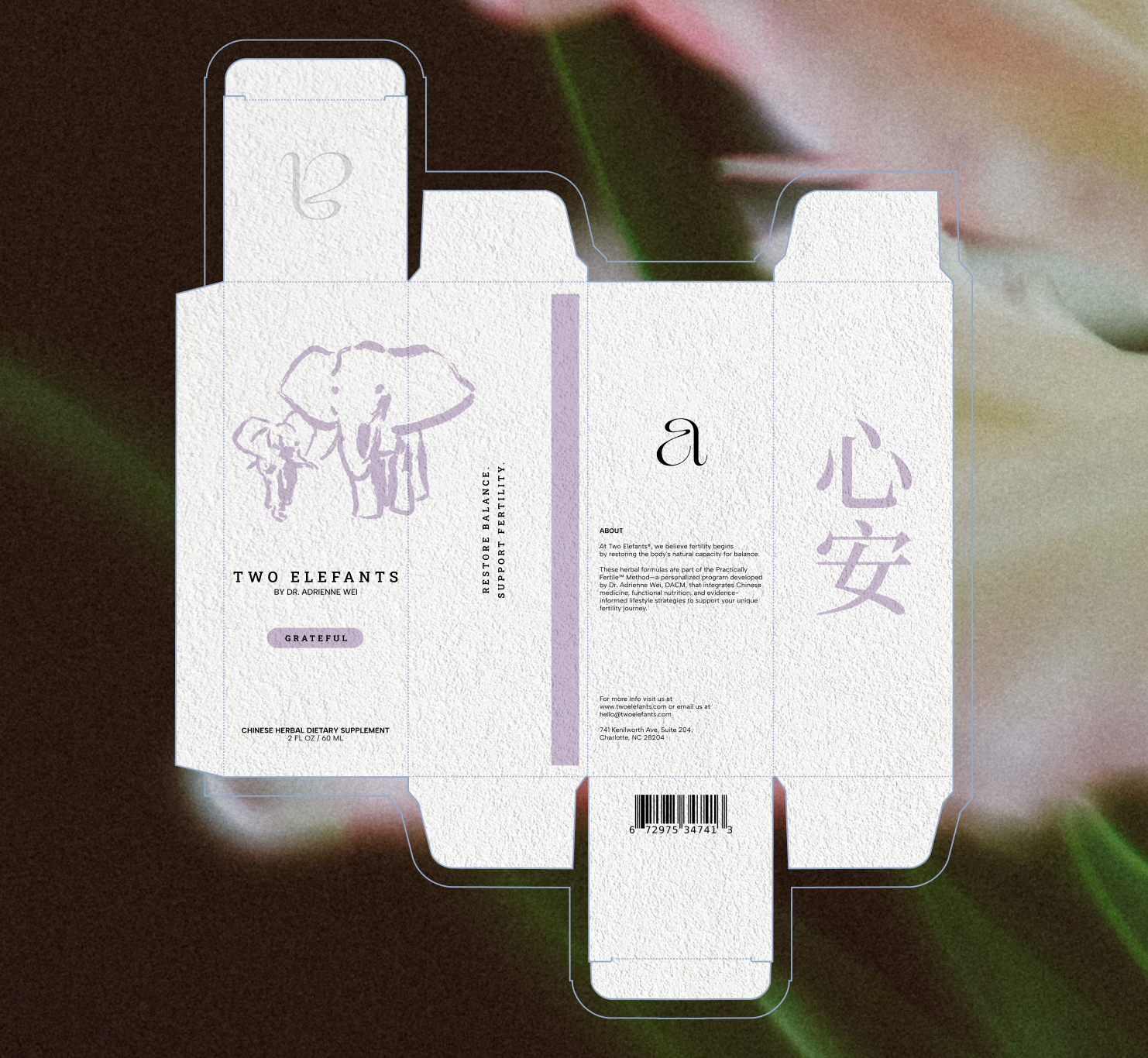 TwoElefants-Graphic-3.png