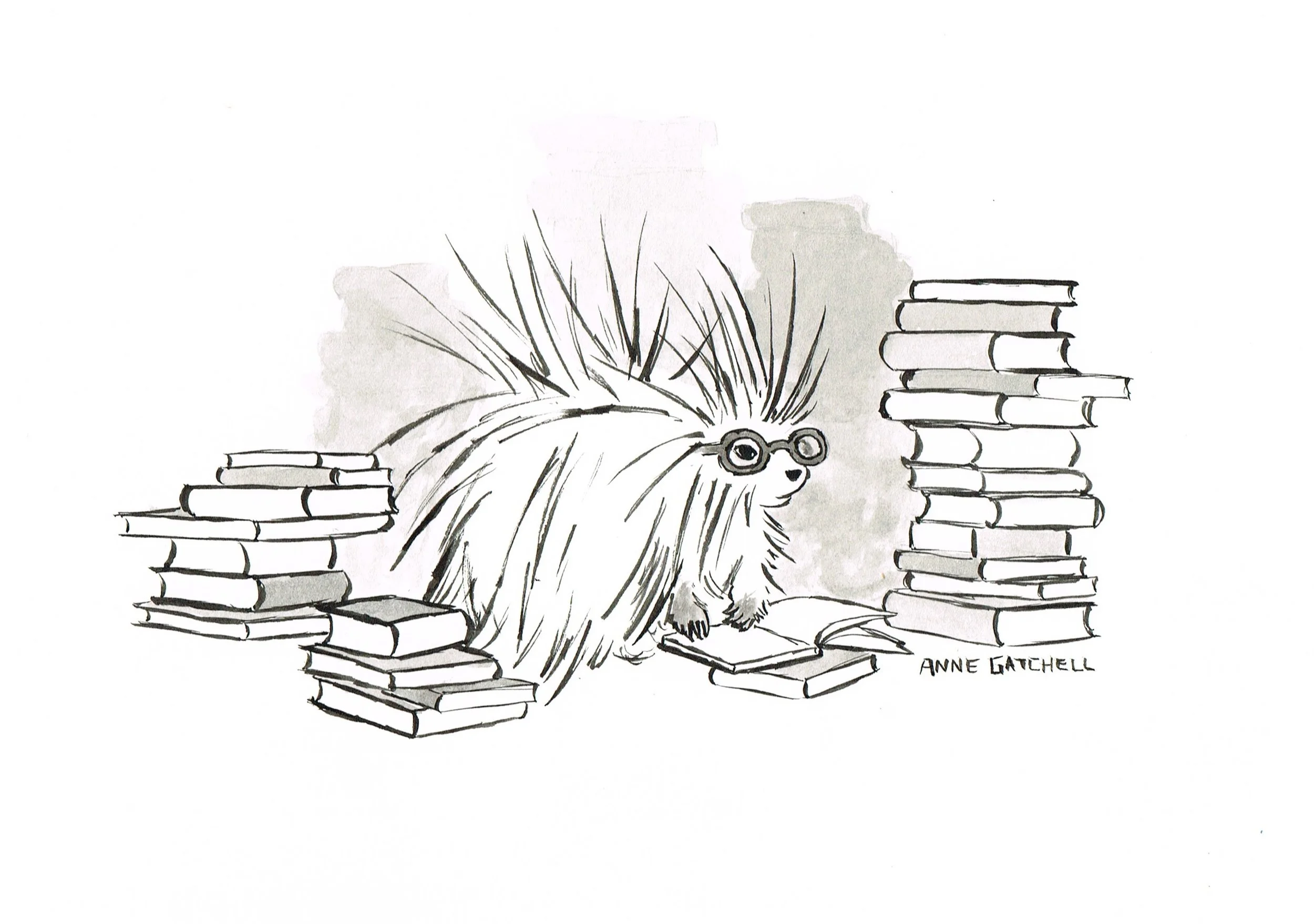 PorcupineReading.jpeg
