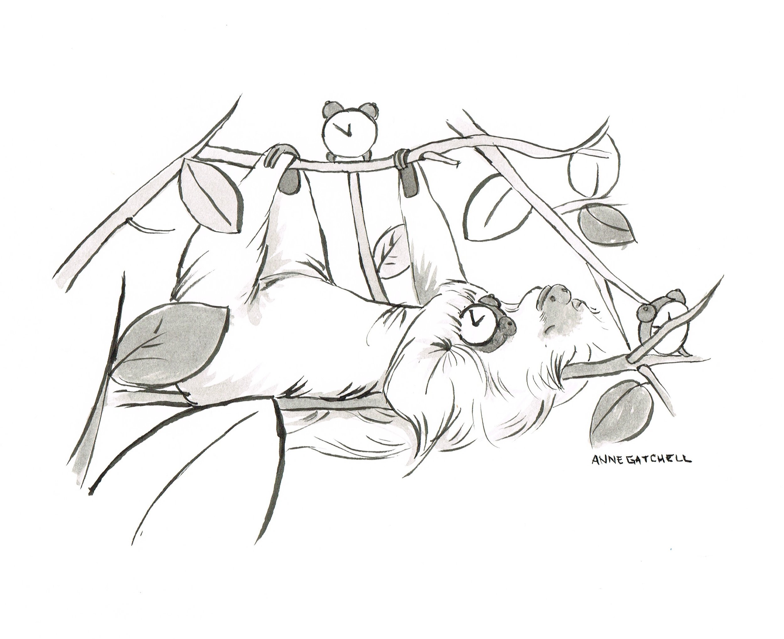 SleepLateSloth.jpeg
