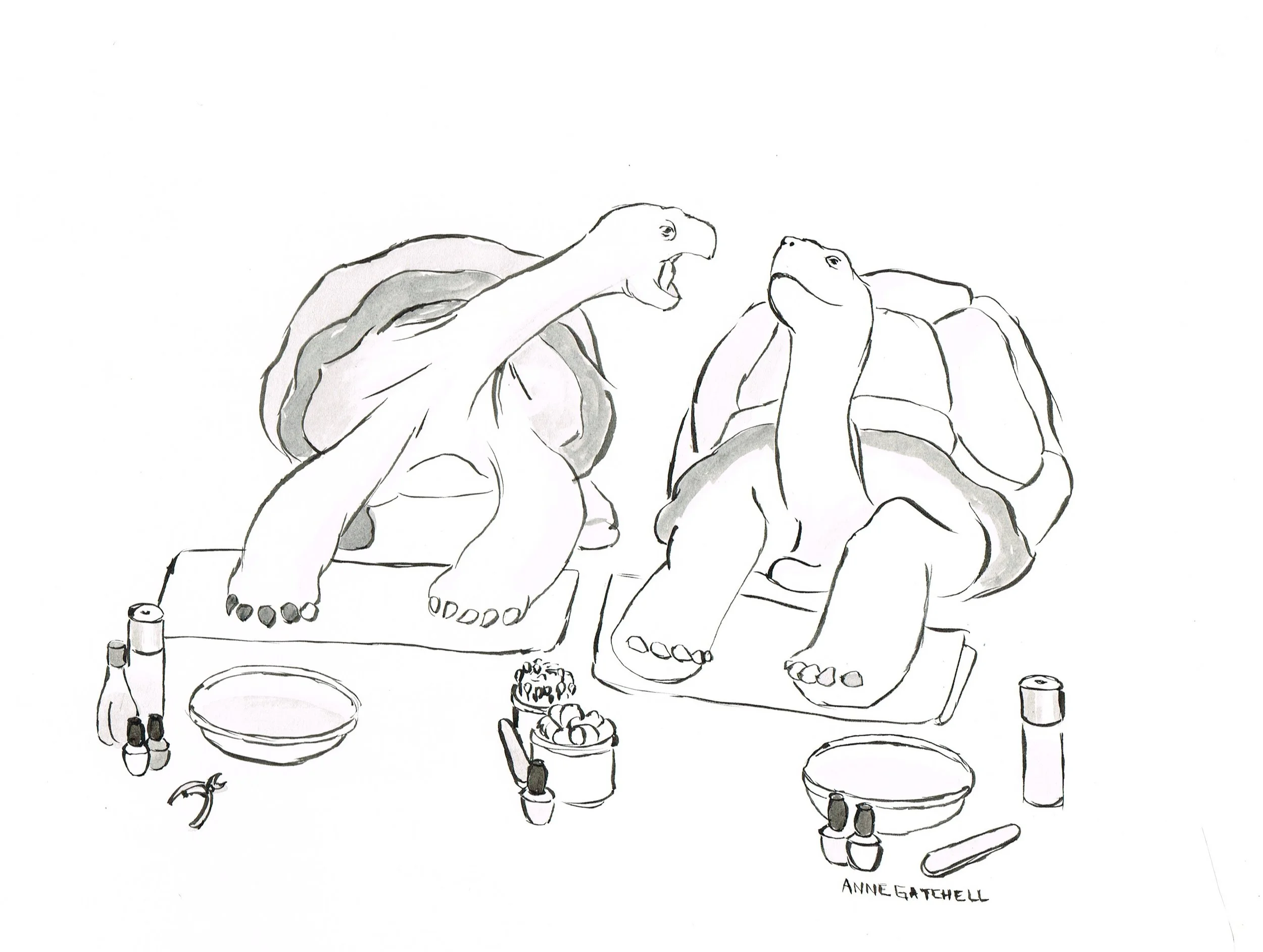 Tortoise Mani.jpeg