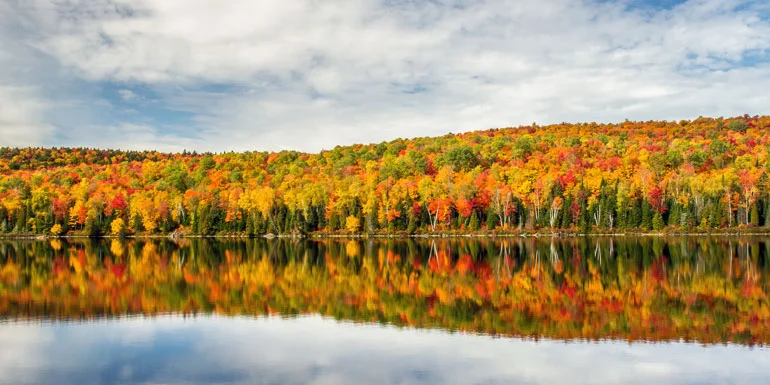 fall-foliage-lake-770.jpg