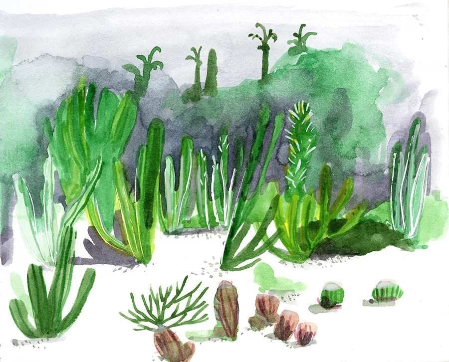 The Cactus Garden, Barcelona