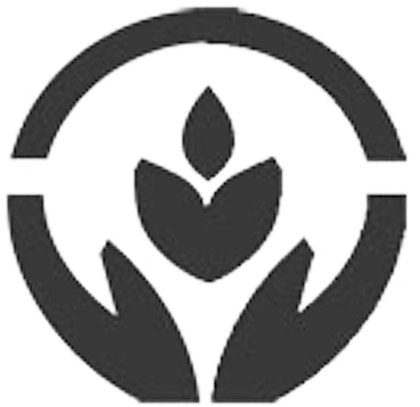 Promote GSN vision, culture and values