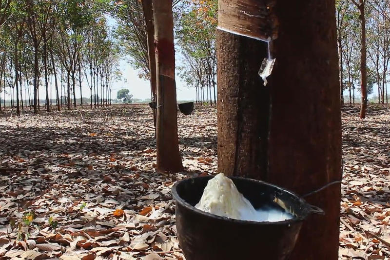 Thailand was one of the world's largest exporters of rubber until now