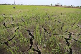Thailand drought raises water supply concerns