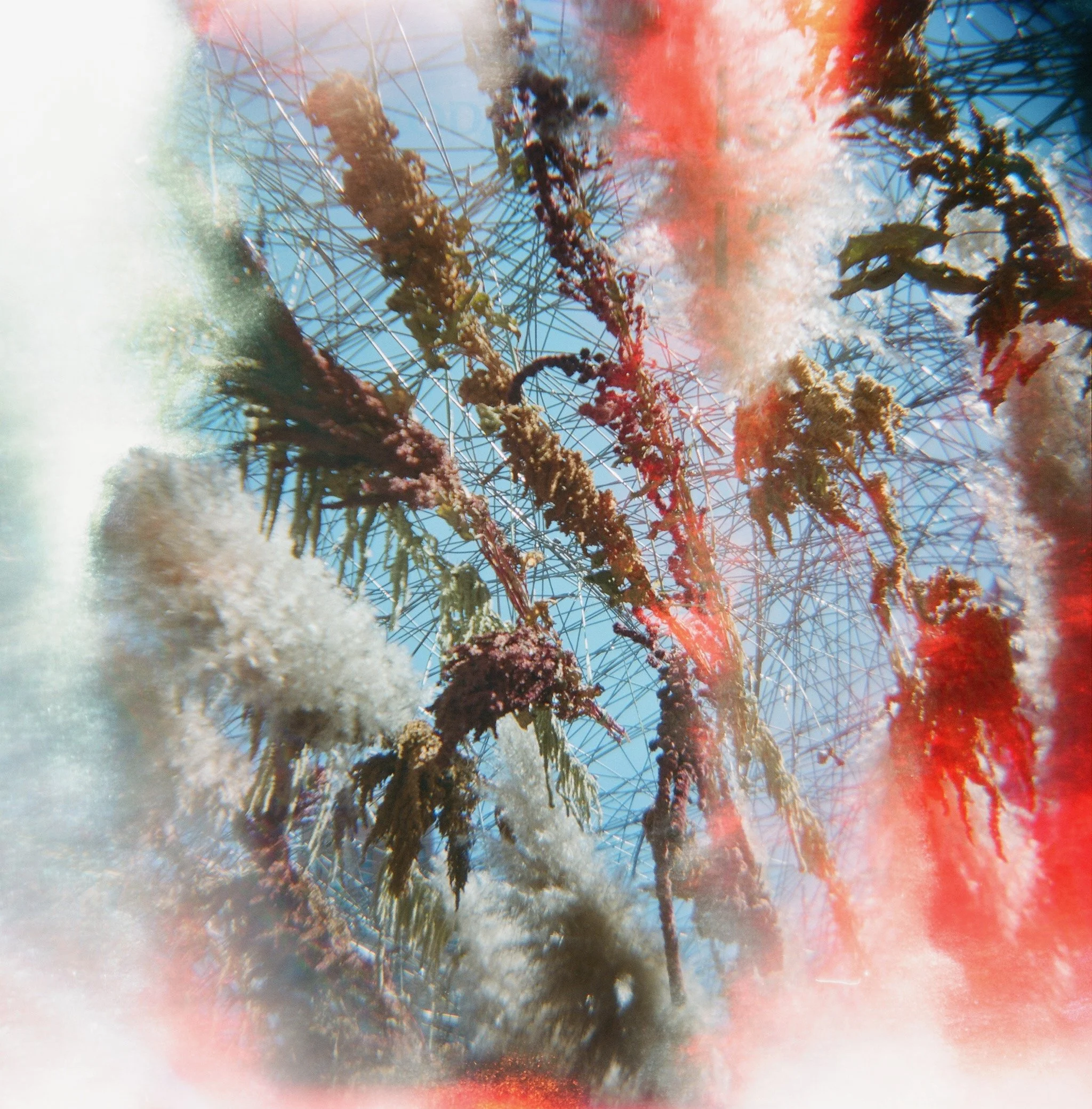 Panel Discussion at AWP Conference