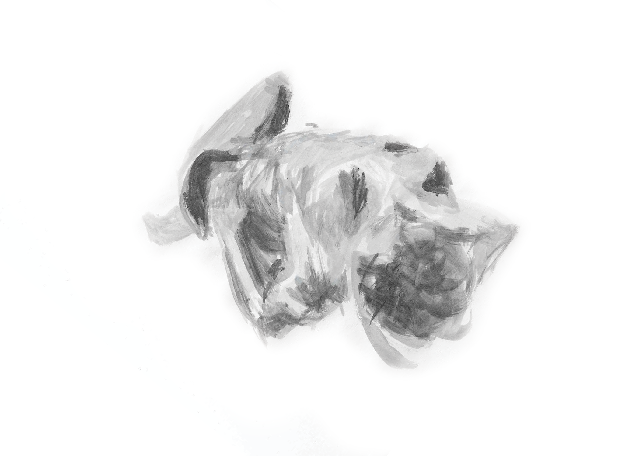 backbend-5x7-eighthin-border-printready.png