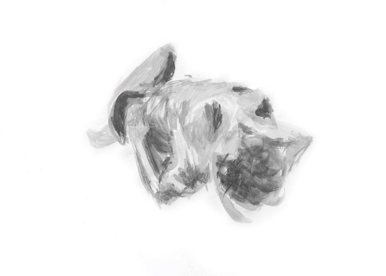 backbend — acrylic paint on paperprints available here.