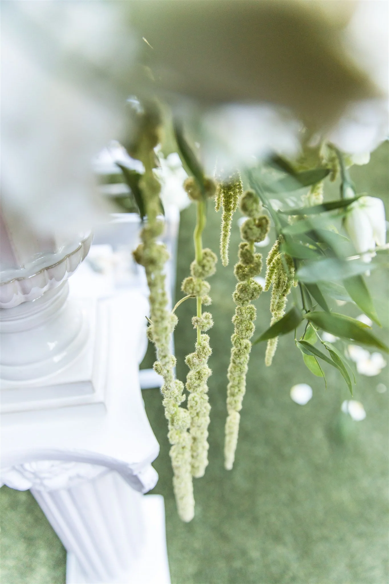 Close-up of white floral arrangement with sage green amaranth hanging