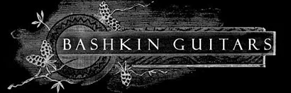 BashkinLogo-Reverse-75.jpg