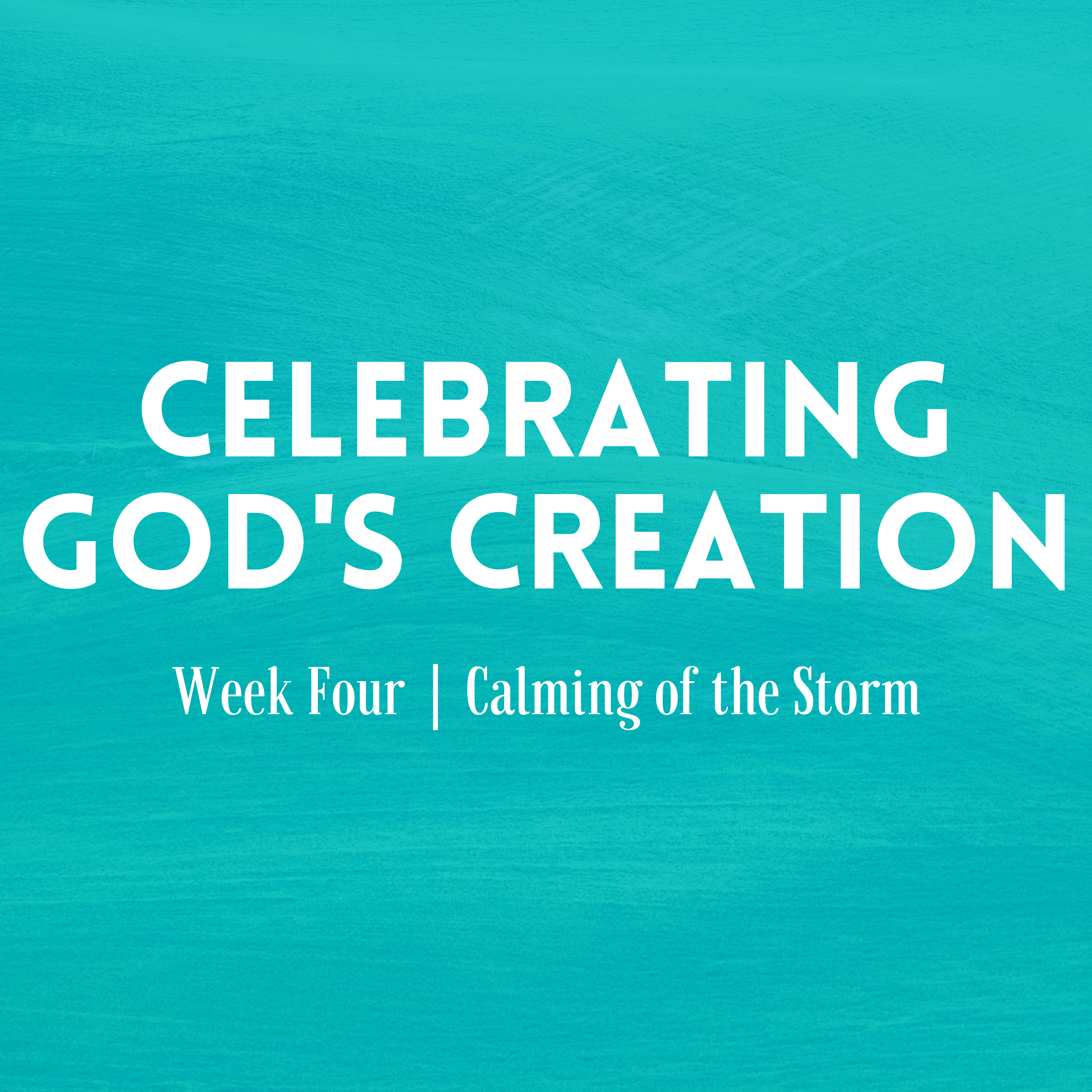 Calming of the Storm