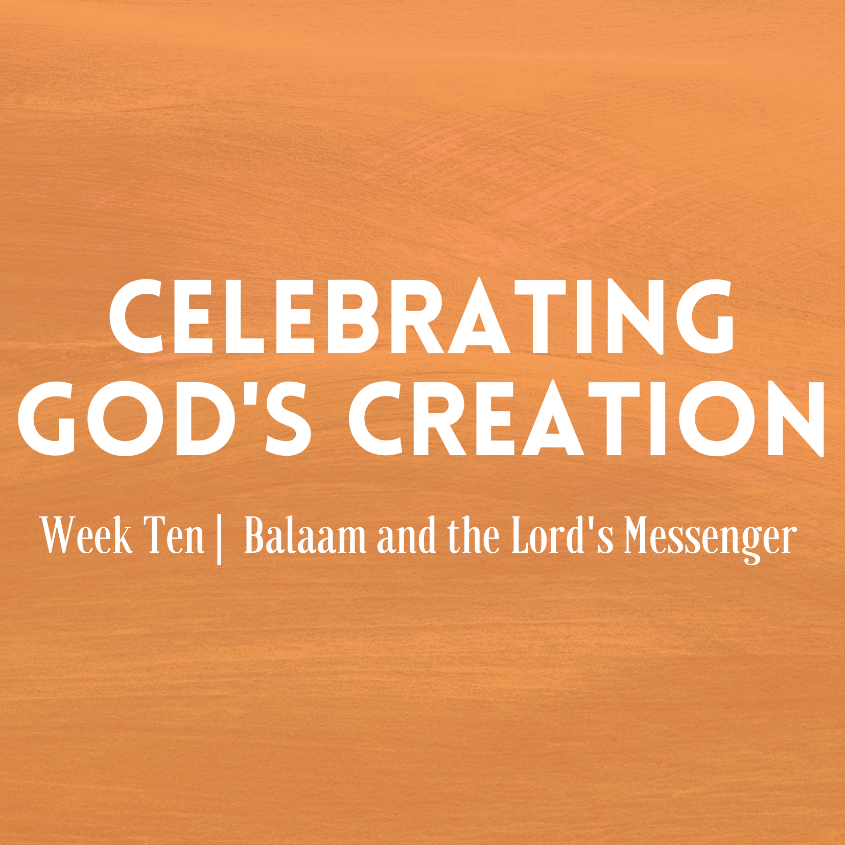 Balaam and the Lord's Messenger